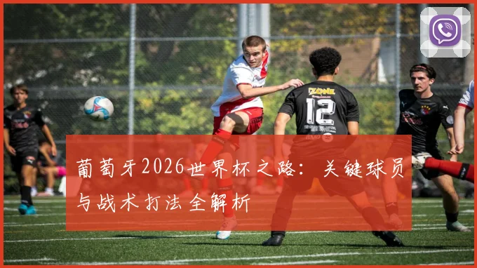 葡萄牙2026世界杯之路：关键球员与战术打法全解析