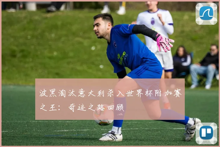 波黑淘汰意大利杀入世界杯附加赛之王：奇迹之路回顾