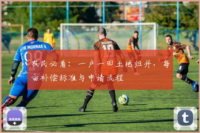 农民必看：一户一田土地归并，每亩补偿标准与申请流程